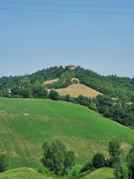 San Lorenzo in Collina: Un'Escursione tra la Lavanda San Lorenzo in Collina: Un'Escursione tra la Lavanda desktop picture