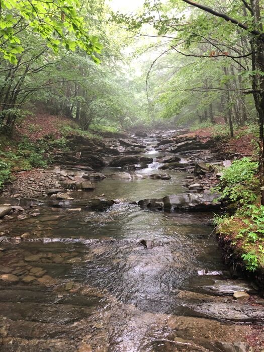 Trekking nella Valle del Brasimone con pranzo in agriturismo Trekking nella Valle del Brasimone con pranzo in agriturismo desktop picture