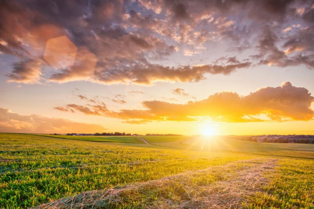 Notte di San Lorenzo: Passeggiata nel Monferrato con Degustazione di vino Notte di San Lorenzo: Passeggiata nel Monferrato con Degustazione di vino desktop picture