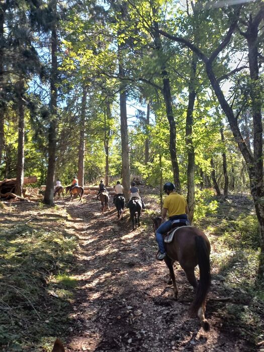 Passeggiata a Cavallo sulle pendici del monte Baldo Passeggiata a Cavallo sulle pendici del monte Baldo desktop picture