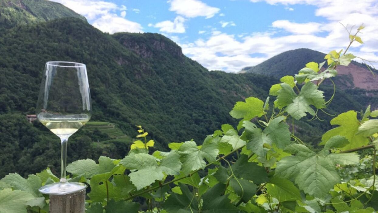 Val di Cembra e Müller Thurgau: Trekking con Brindisi finale Val di Cembra e Müller Thurgau: Trekking con Brindisi finale desktop picture