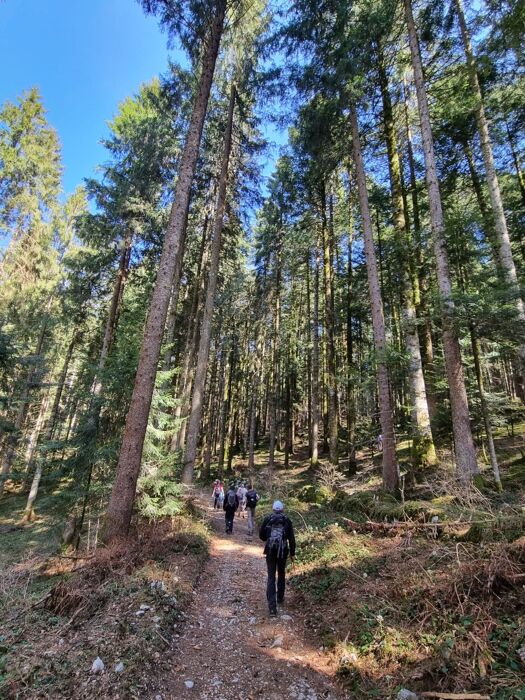 Escursione ad Asiago lungo l’antica Strada del Costo Escursione ad Asiago lungo l’antica Strada del Costo desktop picture