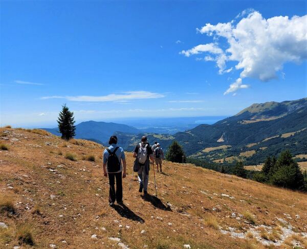 Event card Meeters & Pascol: Escursione tra storia, natura e sapori del Monte Baldo cover image