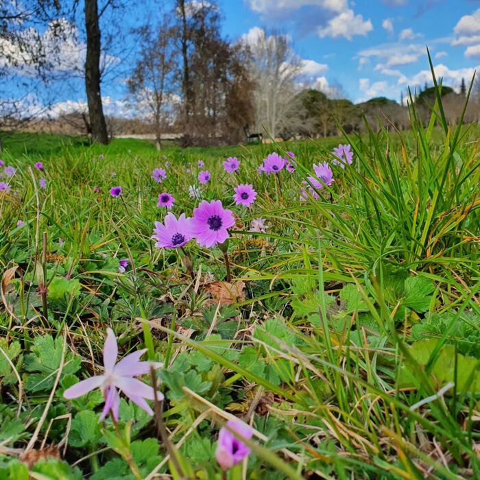 Photolangage e Mindfulness: raccontiamo il nostro cambiamento interiore Photolangage e Mindfulness: raccontiamo il nostro cambiamento interiore desktop picture