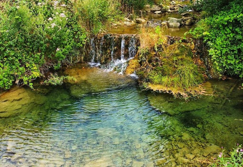 Suggestivo trekking a Rio Canali con pranzo in agriturismo Suggestivo trekking a Rio Canali con pranzo in agriturismo desktop picture