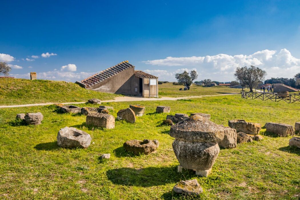Tour guidato a Tarquinia, il piccolo gioiello Etrusco Tour guidato a Tarquinia, il piccolo gioiello Etrusco desktop picture