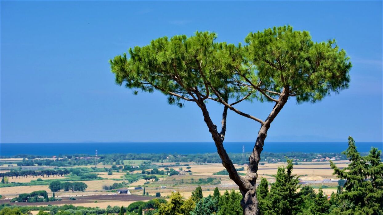 Tour guidato a Tarquinia, il piccolo gioiello Etrusco Tour guidato a Tarquinia, il piccolo gioiello Etrusco desktop picture