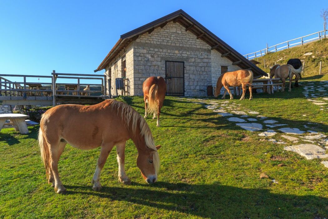 Notte di San Lorenzo: Trekking sotto le stelle a Monte Cesen Notte di San Lorenzo: Trekking sotto le stelle a Monte Cesen desktop picture