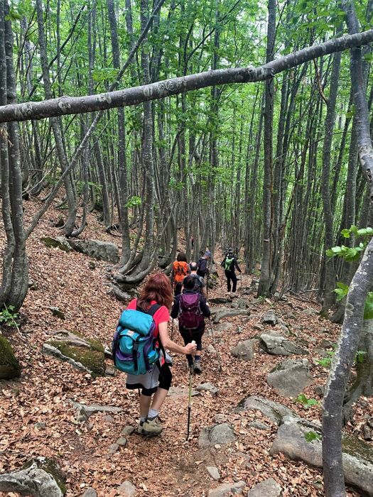 Giro dei Quattro Laghi: Trekking ai piedi dei Monti Giovo e Rondinaio Giro dei Quattro Laghi: Trekking ai piedi dei Monti Giovo e Rondinaio desktop picture