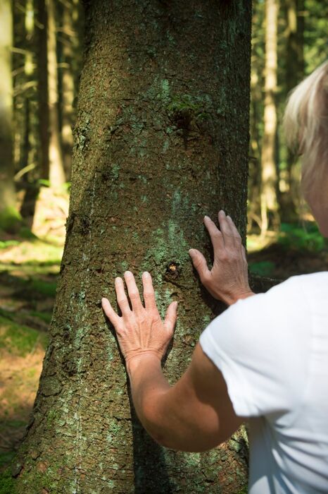 Notte di San Lorenzo: Bagno di Bosco sotto le stelle nell'Alto Vergante Notte di San Lorenzo: Bagno di Bosco sotto le stelle nell'Alto Vergante desktop picture
