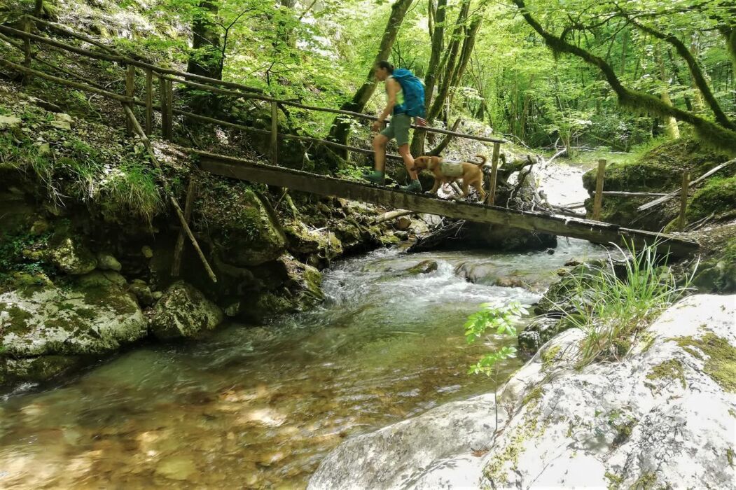 Escursione a Collepardo con visita alla sontuosa Certosa di Trisulti Escursione a Collepardo con visita alla sontuosa Certosa di Trisulti desktop picture