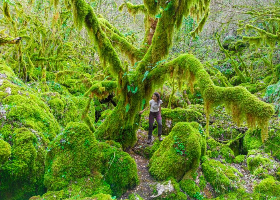 Trekking al sorprendente Abisso del Revotano Trekking al sorprendente Abisso del Revotano desktop picture