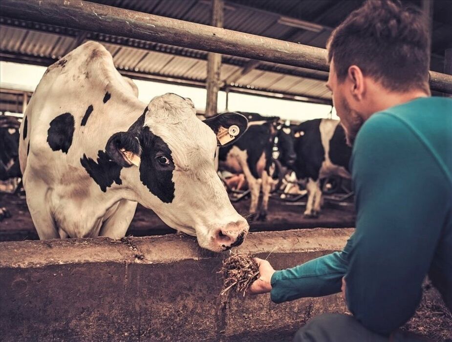 Contadini per un giorno: Tour guidato presso l’Azienda Agricola Carioni Contadini per un giorno: Tour guidato presso l’Azienda Agricola Carioni desktop picture