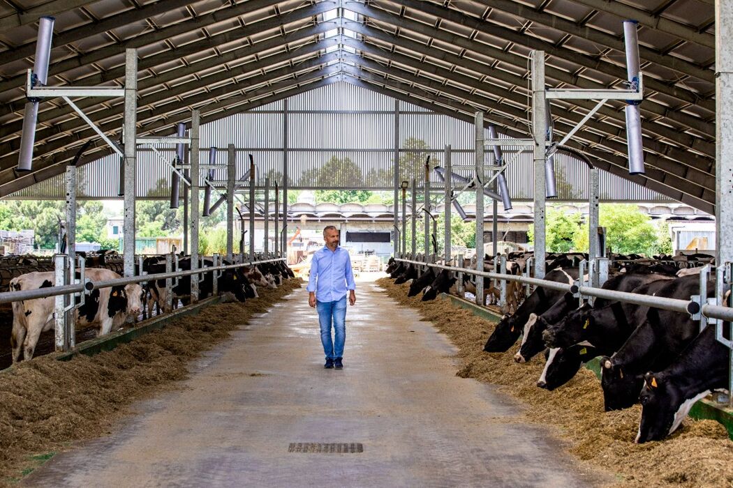 Contadini per un giorno: Tour guidato presso l’Azienda Agricola Carioni Contadini per un giorno: Tour guidato presso l’Azienda Agricola Carioni desktop picture