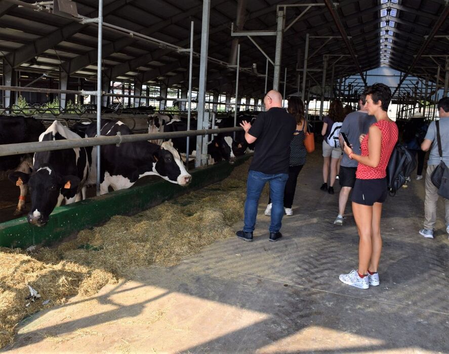 Contadini per un giorno: Tour guidato presso l’Azienda Agricola Carioni Contadini per un giorno: Tour guidato presso l’Azienda Agricola Carioni desktop picture