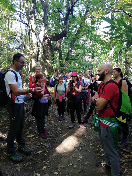 Escursione dal Borgo di Valestra alla panoramica Panchina Gigante Escursione dal Borgo di Valestra alla panoramica Panchina Gigante desktop picture