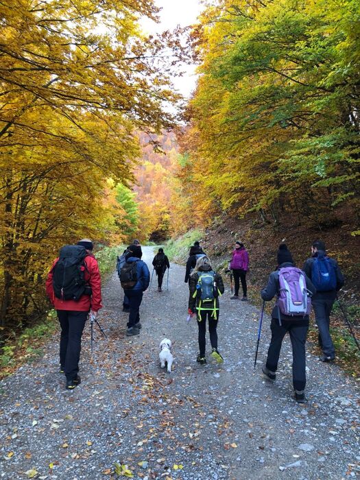 Trekking panoramico dal Lago Calamone al Monte Ventasso Trekking panoramico dal Lago Calamone al Monte Ventasso desktop picture