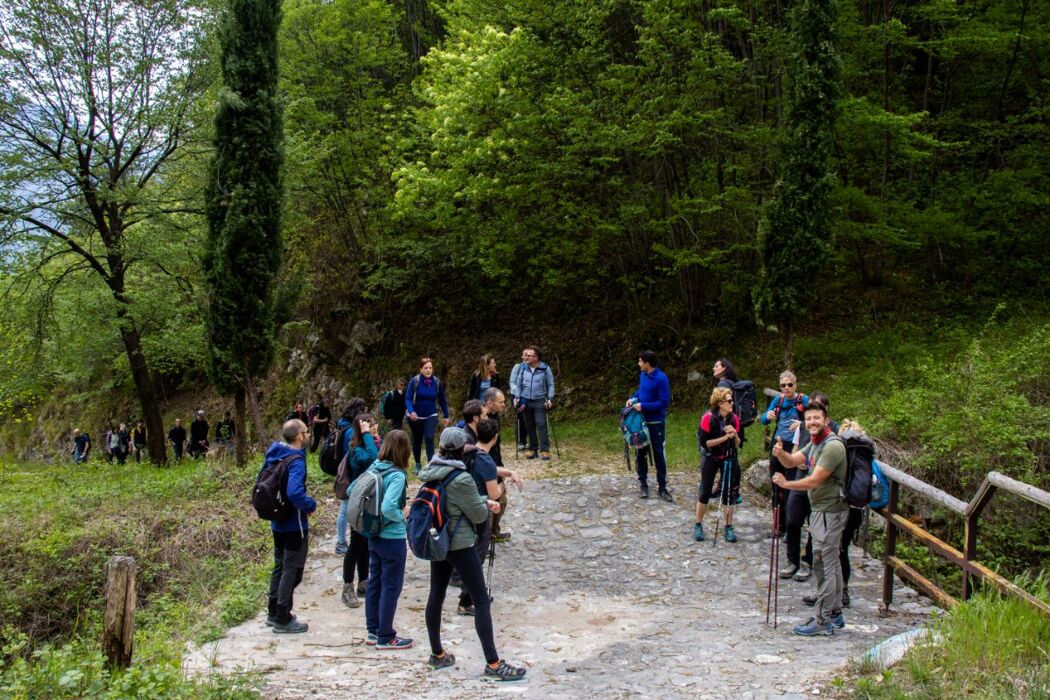 Grigliata serale di Ferragosto al Castello di Avio Grigliata serale di Ferragosto al Castello di Avio desktop picture