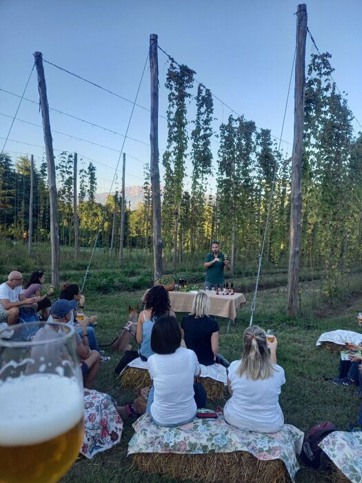 Trekking sensoriale in Brianza alla scoperta del luppoleto Trekking sensoriale in Brianza alla scoperta del luppoleto desktop picture