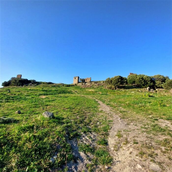 Trekking dall’antica Cencelle al borgo dimenticato della Farnesiana Trekking dall’antica Cencelle al borgo dimenticato della Farnesiana desktop picture