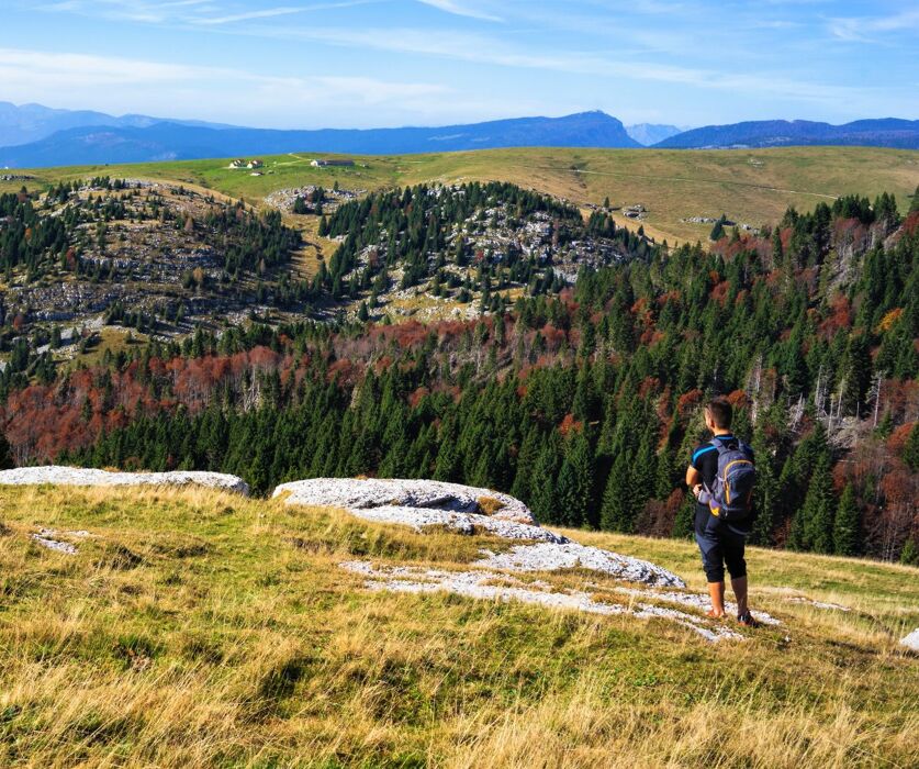 Ferragosto ad Asiago: Trekking, Degustazioni e Passeggiata sotto le Stelle Ferragosto ad Asiago: Trekking, Degustazioni e Passeggiata sotto le Stelle desktop picture