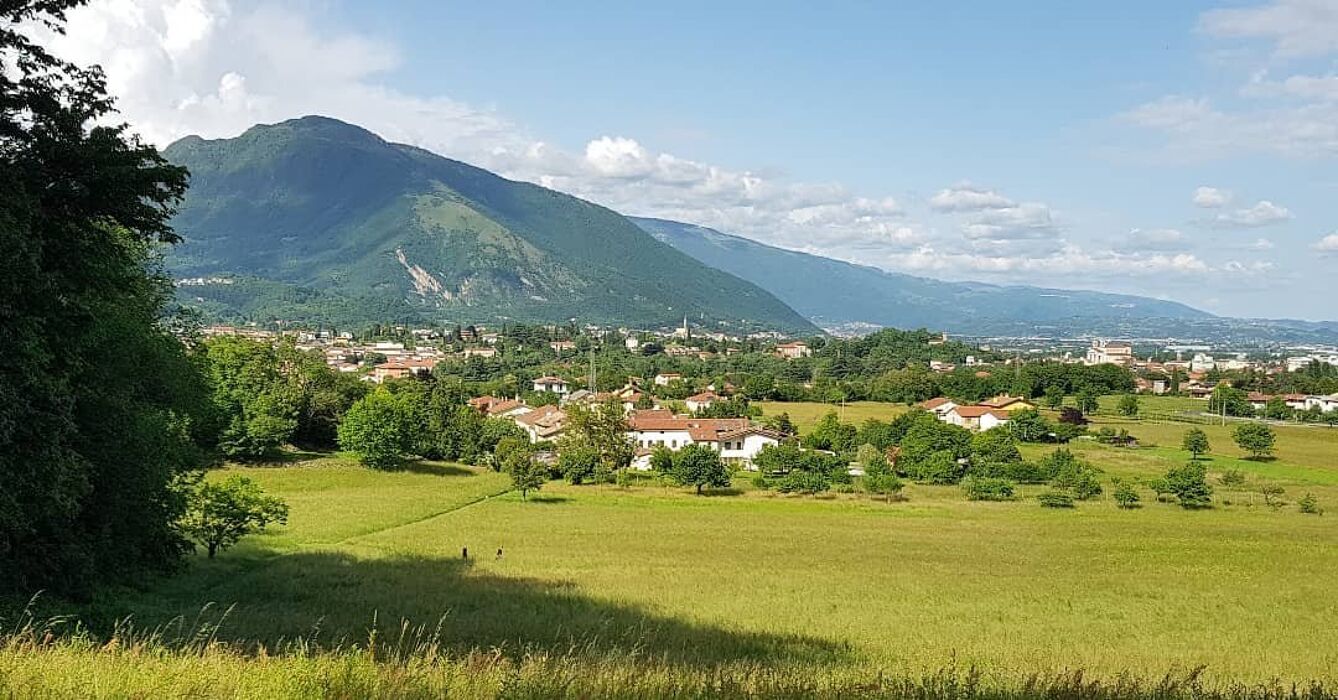 Tour in vigna con vendemmia e Pranzo tipico in fattoria Tour in vigna con vendemmia e Pranzo tipico in fattoria desktop picture