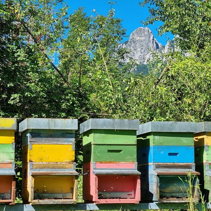 La Via dell'Acqua: Escursione con degustazione a Valli del Pasubio La Via dell'Acqua: Escursione con degustazione a Valli del Pasubio desktop picture
