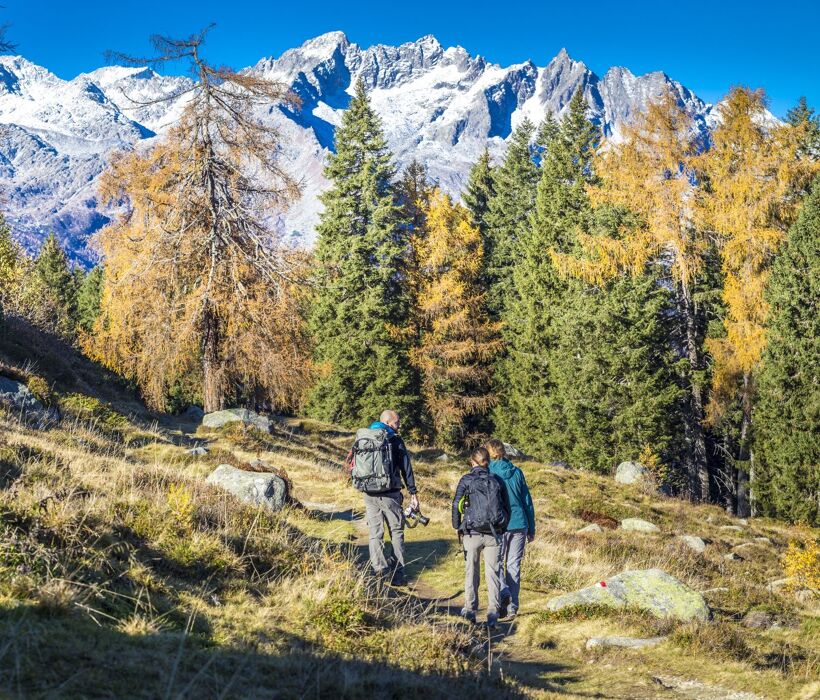 Trekking in Val Rendena: i Laghi di San Giuliano in veste autunnale Trekking in Val Rendena: i Laghi di San Giuliano in veste autunnale desktop picture
