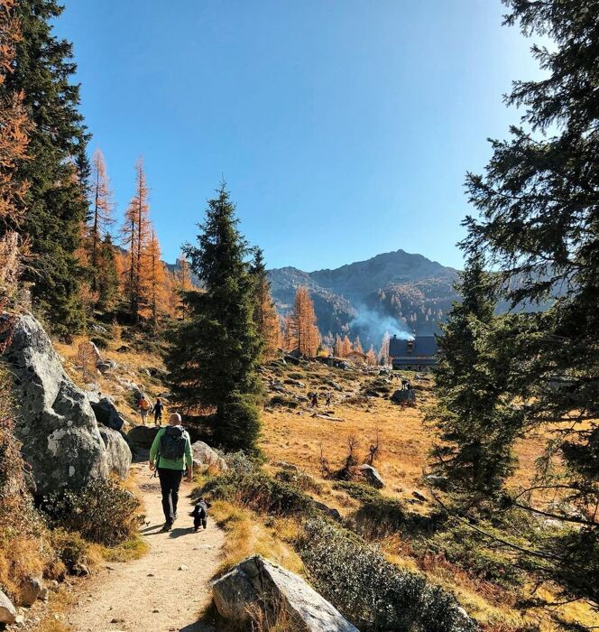 Trekking in Val Rendena: i Laghi di San Giuliano in veste autunnale Trekking in Val Rendena: i Laghi di San Giuliano in veste autunnale desktop picture