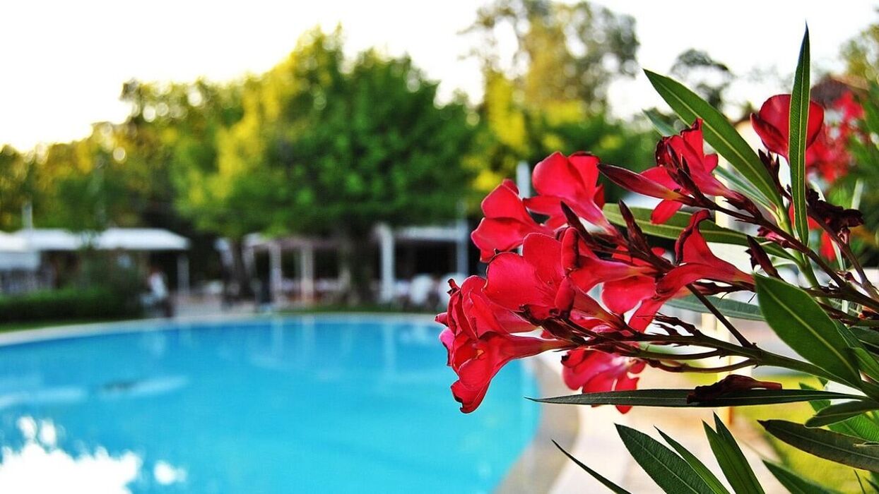 Serata tra pizza e musica a bordo piscina in una Villa del 1800 con Pernottamento in Hotel Serata tra pizza e musica a bordo piscina in una Villa del 1800 con Pernottamento in Hotel desktop picture