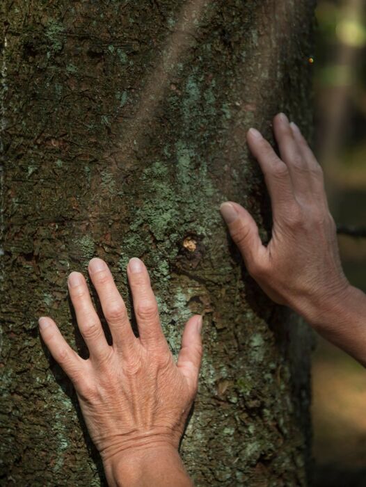 Bagno di Bosco alle Grotte di Ara tra i magici colori dell’autunno Bagno di Bosco alle Grotte di Ara tra i magici colori dell’autunno desktop picture