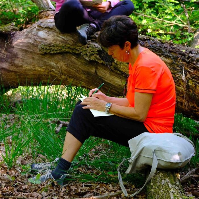Bagno di Bosco alle Grotte di Ara tra i magici colori dell’autunno Bagno di Bosco alle Grotte di Ara tra i magici colori dell’autunno desktop picture