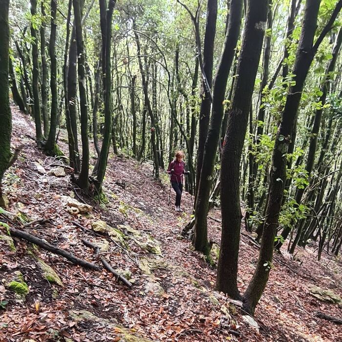 Trekking sul litorale laziale: il Monte delle Fate e le sue leggende Trekking sul litorale laziale: il Monte delle Fate e le sue leggende desktop picture