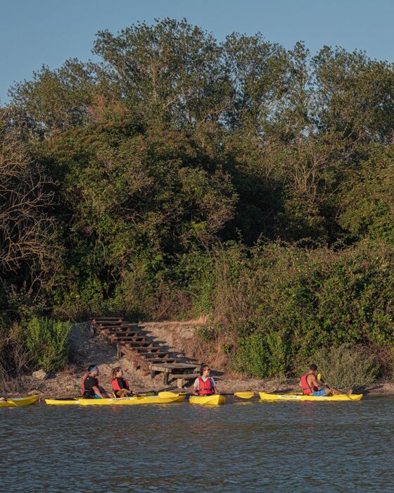 Tour in Kayak nella natura incontaminata della Laguna di Venezia Tour in Kayak nella natura incontaminata della Laguna di Venezia desktop picture