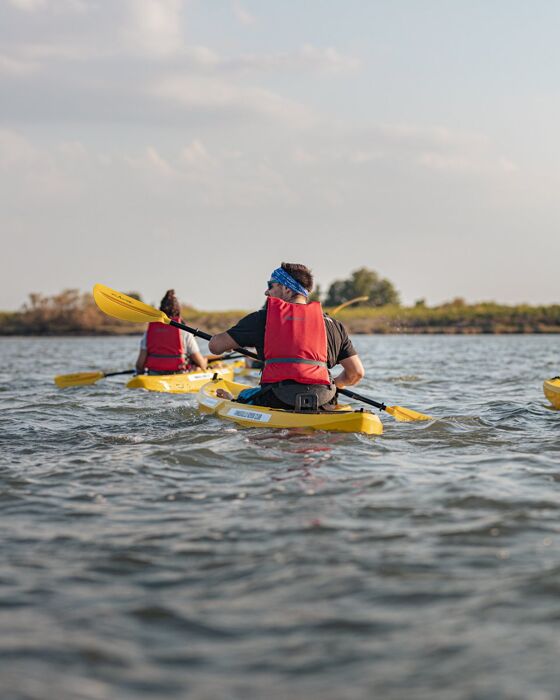 Tour in Kayak nella natura incontaminata della Laguna di Venezia Tour in Kayak nella natura incontaminata della Laguna di Venezia desktop picture