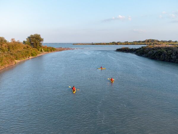 Event card Tour in Kayak nella natura incontaminata della Laguna di Venezia cover image