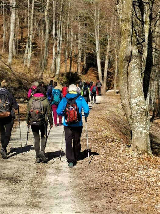 Escursione con pranzo tipico in Rifugio: il fascino dei Colli Alti Escursione con pranzo tipico in Rifugio: il fascino dei Colli Alti desktop picture