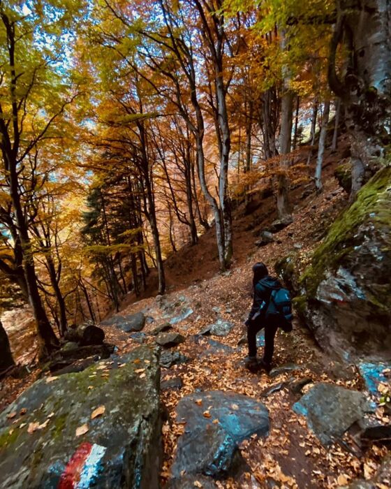 Camminata nel foliage della Foresta incantata dei Bagni di Masino Camminata nel foliage della Foresta incantata dei Bagni di Masino desktop picture