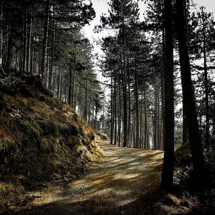 Camminata di primavera al Santuario della Madonna della Bassa Camminata di primavera al Santuario della Madonna della Bassa desktop picture