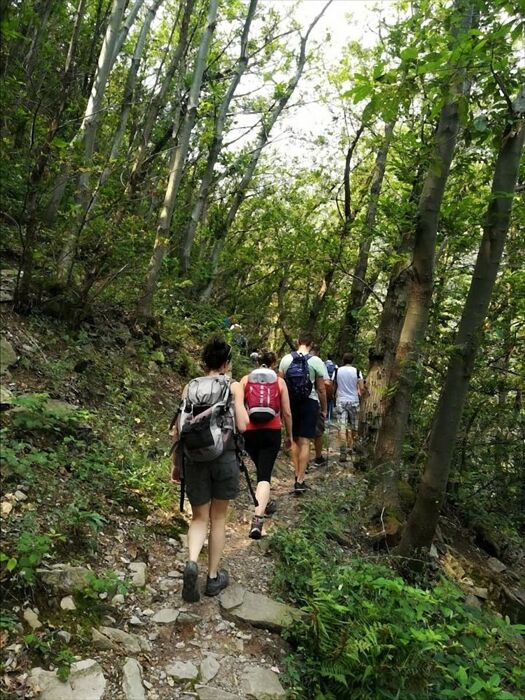 Trekking con raccolta delle castagne lungo il Sentiero dell’Alto Molgora Trekking con raccolta delle castagne lungo il Sentiero dell’Alto Molgora desktop picture
