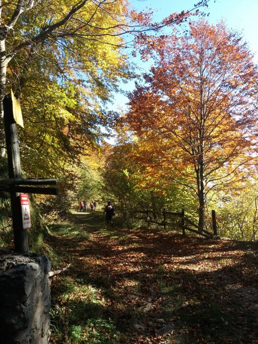 Trekking ad anello in Val di Posina Trekking ad anello in Val di Posina desktop picture