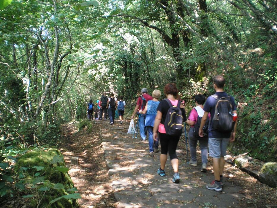 Monte Cavo: Escursione all’Occhialone lungo la Via Sacra Monte Cavo: Escursione all’Occhialone lungo la Via Sacra desktop picture