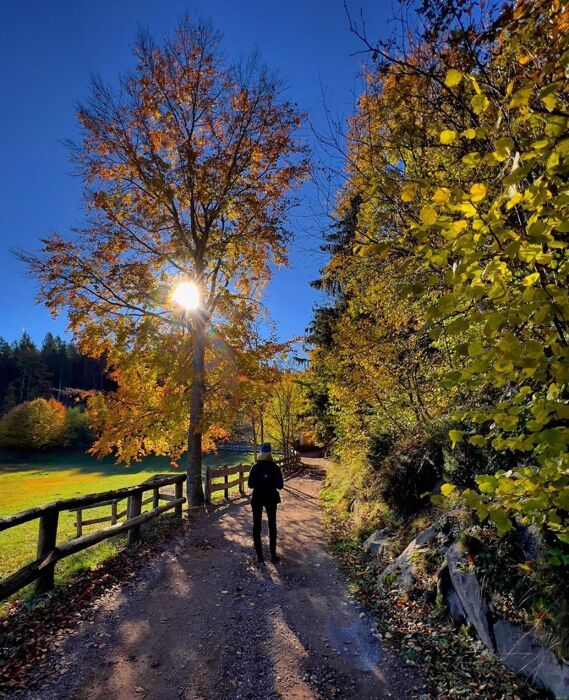 Escursione in Val di Cembra con partita di curling Escursione in Val di Cembra con partita di curling desktop picture