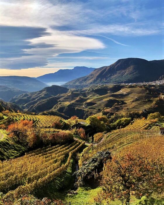 Escursione in Val di Cembra con partita di curling Escursione in Val di Cembra con partita di curling desktop picture