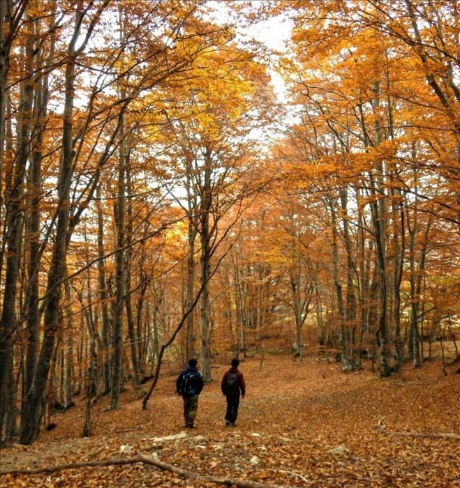 Trekking al Monte Ebro: il foliage tra le montagne dell'Appennino Trekking al Monte Ebro: il foliage tra le montagne dell'Appennino desktop picture