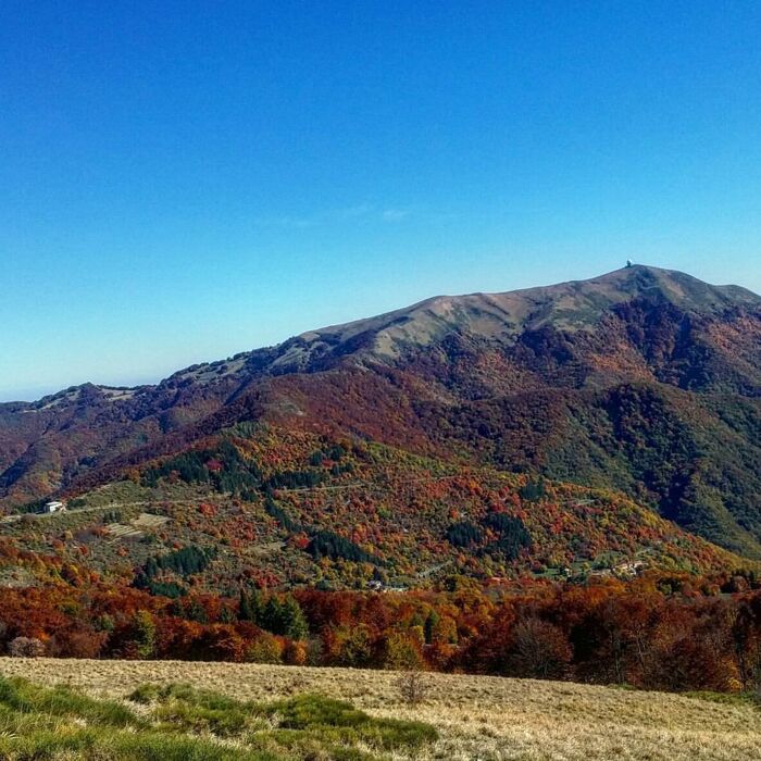 Trekking al Monte Ebro: il foliage tra le montagne dell'Appennino Trekking al Monte Ebro: il foliage tra le montagne dell'Appennino desktop picture