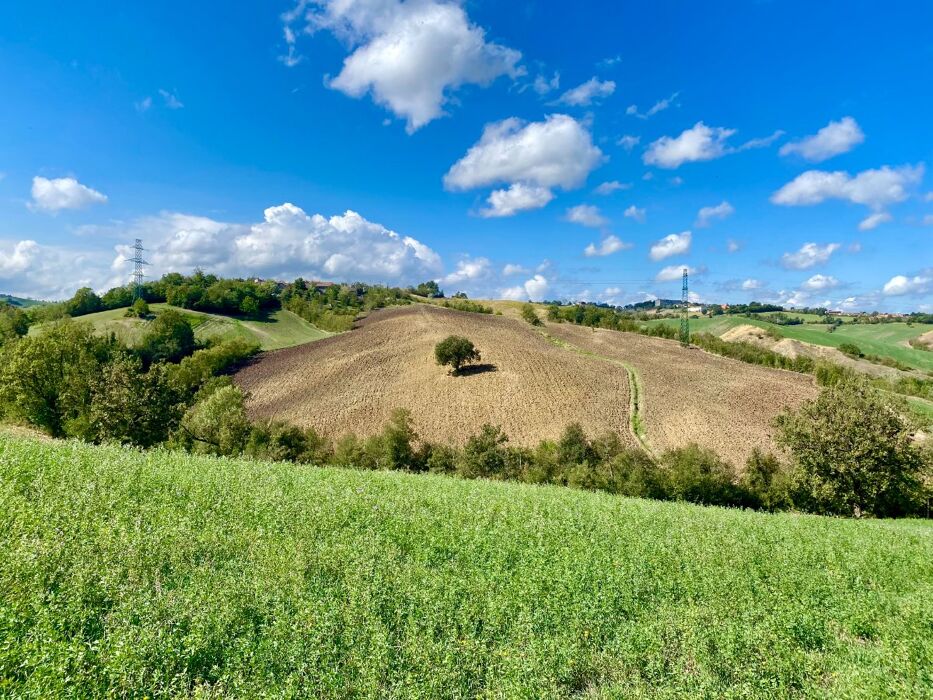 Trekking con degustazione sui colli parmensi: tra calanchi e Barboj Trekking con degustazione sui colli parmensi: tra calanchi e Barboj desktop picture