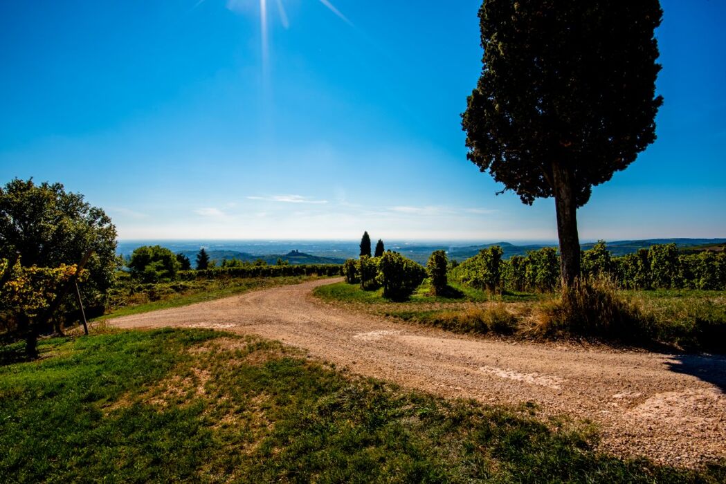 Passeggiata con degustazione nei luoghi del cinema della Valpolicella Passeggiata con degustazione nei luoghi del cinema della Valpolicella desktop picture
