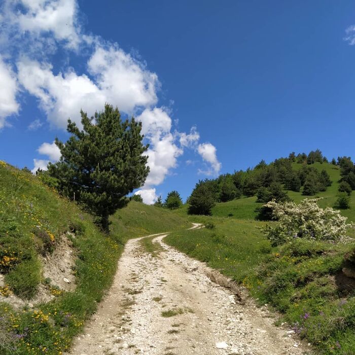 Il Sentiero dei Mietitori : Trekking tra colori e profumi d’autunno Il Sentiero dei Mietitori : Trekking tra colori e profumi d’autunno desktop picture