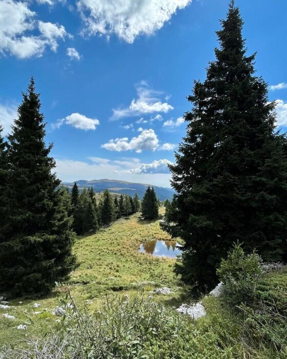 Trekking sul Monte Zebio: sulle orme della Brigata Sassari Trekking sul Monte Zebio: sulle orme della Brigata Sassari desktop picture